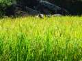 2016-09-08-14h58m45.JPG