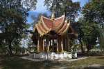 2311-donkhong12
