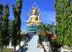 2311-donkhong42