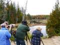 algonquin07