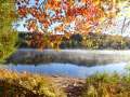 algonquin20