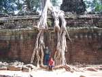 ankor14