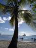 anse cochon08