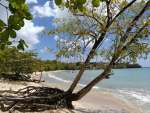 anse mabouya02