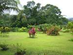 arenal2