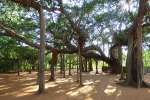 auroville 03