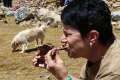benefizessen10