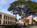campeche 6