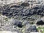 causeway7