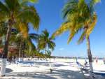 cayococo-8