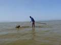 chamosee14