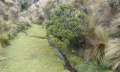 cotopaxi np05