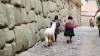 cusco mauer 00