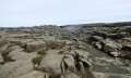 dettifoss 02