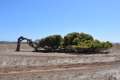 geraldton-13