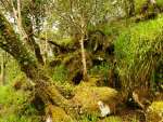 glenveagh7