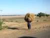 gondar04