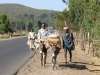 gondar05
