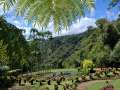 jardin de balata06