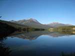 jasper18