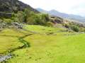 kerry16a