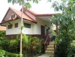 kohsamui2