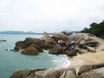 kohsamui32