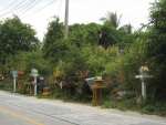 kohsamui34