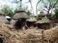 konso19
