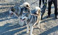 longyearbyen6a