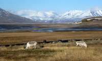 longyearbyen8