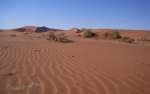 namibia12