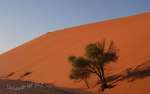 namibia16