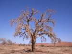 namibia22