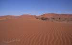 namibia26