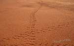 namibia5