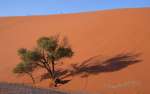 namibia6