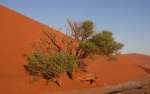 namibia7