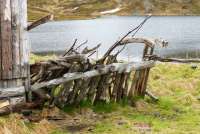 nordkap7
