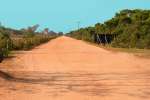 pantanal03