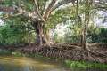 pantanal62