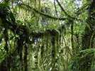 santaelena np2