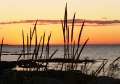 to gaspe19