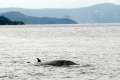 to tadoussac21