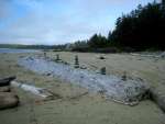 tofino9