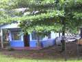 tortuguero2