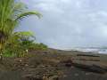 tortuguero3