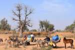 touba07