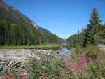 whistler4