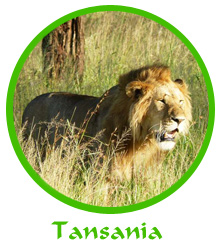 tl_files/reiseberichte/logos_startseite/10_tansania_logo.jpg tl_files/reiseberichte/logos_startseite/10_tansania_logo.jpg